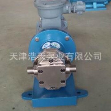 高温齿轮泵TDGW 350度齿轮泵 合金钢齿轮泵 高温齿轮泵