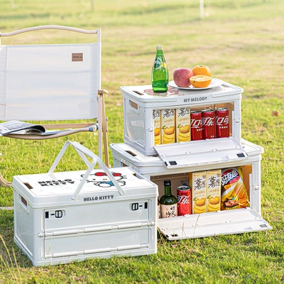 Camping Large Capacity Organizer — Car storage bag/box
