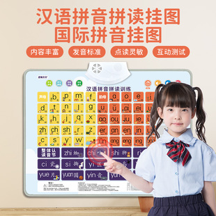 Chinese Pinyin Spelling Training + International Phonetic Symbols Double-Sided Wall Chart Audio Wall Chart Reading and Pronunciation