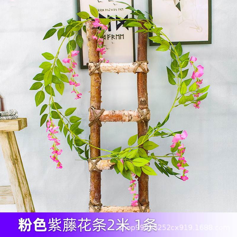 하나의 핑크 등나무