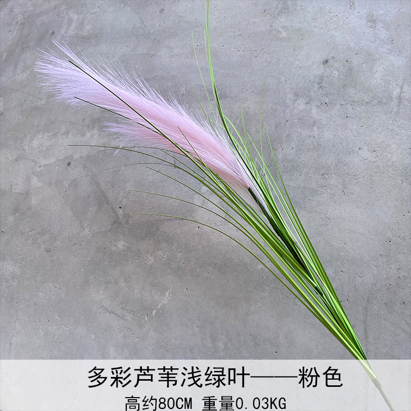 Caña hierba simulación de flores Cai Guoqiang Fuegos artificiales Caña Fuegos artificiales diurnos Fuegos artificiales diurnos Caña Fuegos artificiales