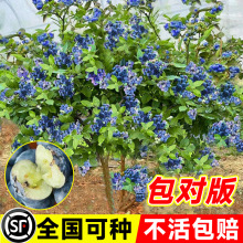 {ݮԎNֲˮ҃܇̨ļYͺϱ