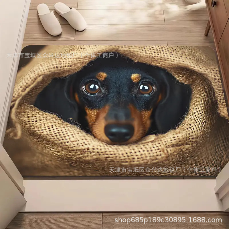 Cross-Border Labeling and Delivery Creative Diatom Mud Anti-Slip and Stain-Resistant Entrance Door Floor Mats Living Room Bathroom Quick-Drying Foot Blankets in Stock