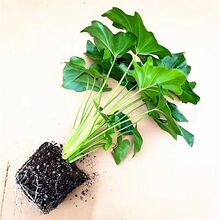 �������Դ�������ϲ����ϲ�佶�̨ͥԺ���̾G�������՚���ꎾGֲ