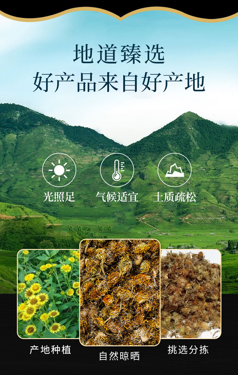Xuan Fu Hua (Inula britannica Flower) — Dried TCM Herb, 500g overview
