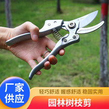 @ֈ@ˇ֦๦ܻ݆֦ʡhû