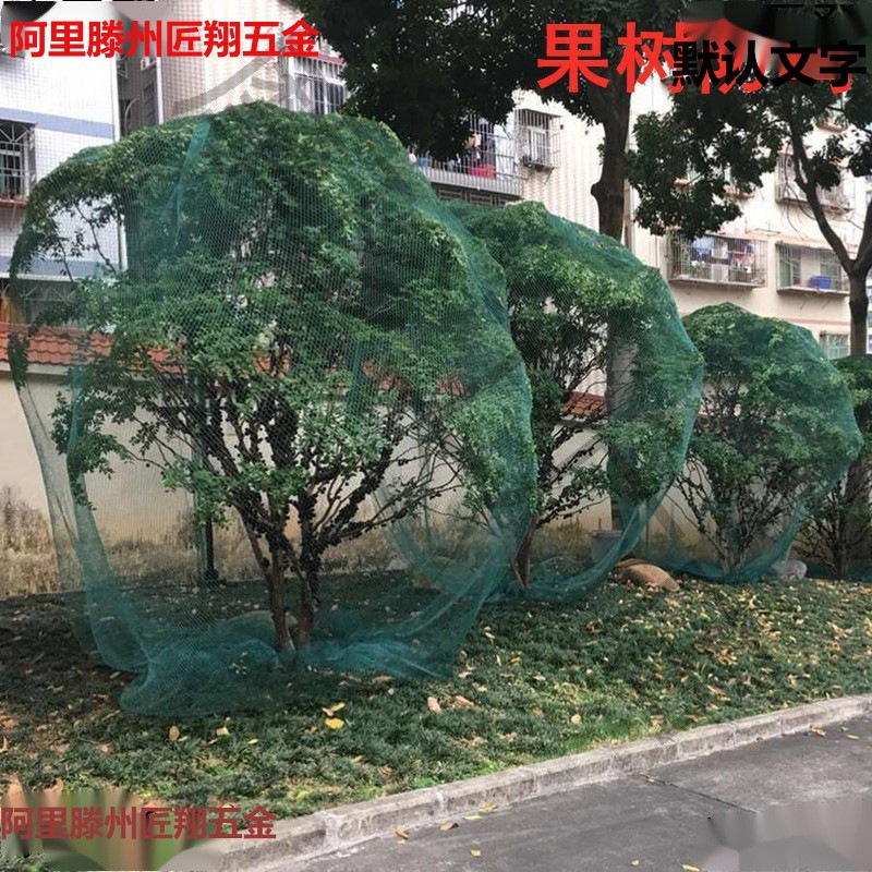 防鸟用网果树樱桃葡萄大棚果园农用防鸟网鱼塘养殖天网尼龙防老化