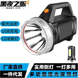 手电筒;头灯头戴电筒;提灯