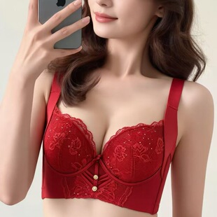 ���w�ꌣ��ܛ�ȦŮʿ����A����BC�б����۔n�ո��������{������