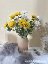 W滨С¶ɏccYҾӿ͏d[ɽ軨Q羳