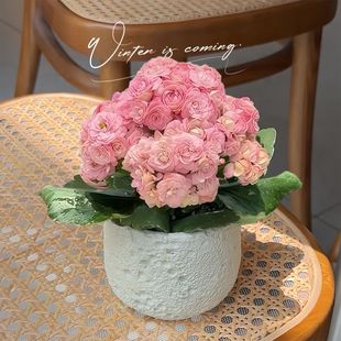 ϼɫذ_ֲk̨҃GֲԺB