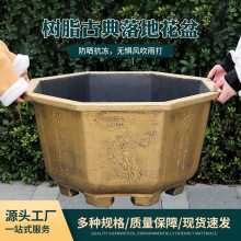 55cmϻ֬Ӻ辰ôڏ̨ͥԺ~Gֲ