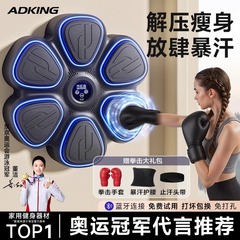 家庭用の大人と子供向けのスマートミュージックボクシングウォールターゲット、減圧アーティファクト、屋内専用フィットネスボクシングトレーニング機器