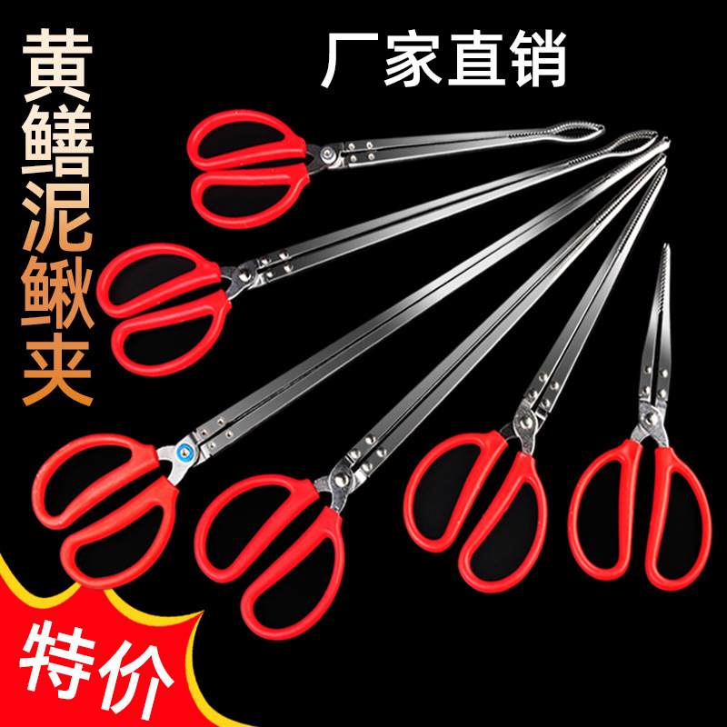 Monopterus albus clip eel clamp fish control loach crab lobster clamp catch catch catch catch catch catch catch catch catch catch catch catch catch catch catch catch catch catch catch catch catch catch catch catch catch catch catch catch catch catch catch catch catch catch catch