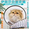 豪麦嘉伊丽莎白项圈猫咪狗防咬圈小型犬头套宠物绝育防舔耻辱护颈|ru