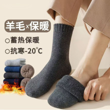 ��q�m�����ﶬ����Ͳ���m�ӽq��ë��ů����ѩ���m�m�ֹ��o�ǿp�^