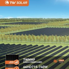 TWSOLAR通威A级700-740W TOPCon Solar panels双玻太阳能板光伏板