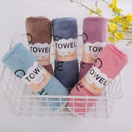 抹布、百洁布;擦车巾;浴裙