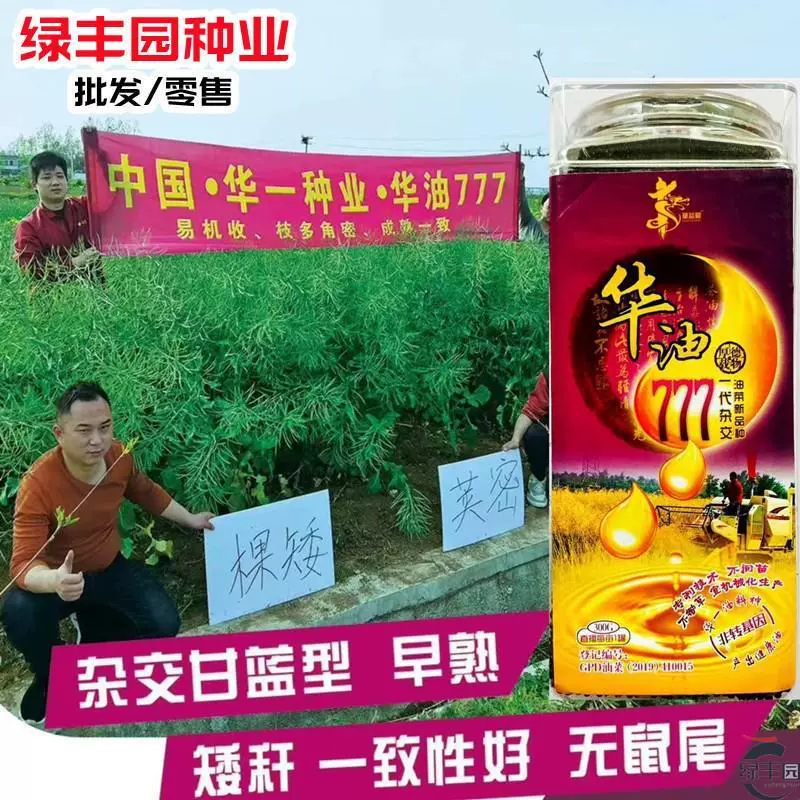 Huayou 777 Семена рапса Высокоурожайные, Высокая устойчивость к маслам, Устойчивость к болезням, Устойчивость к засухе, Холодостойкость, Карликовые семена рапса, Осенние овощи