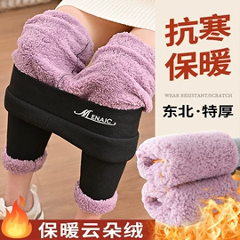 打底裤;女士短裤;女士背心