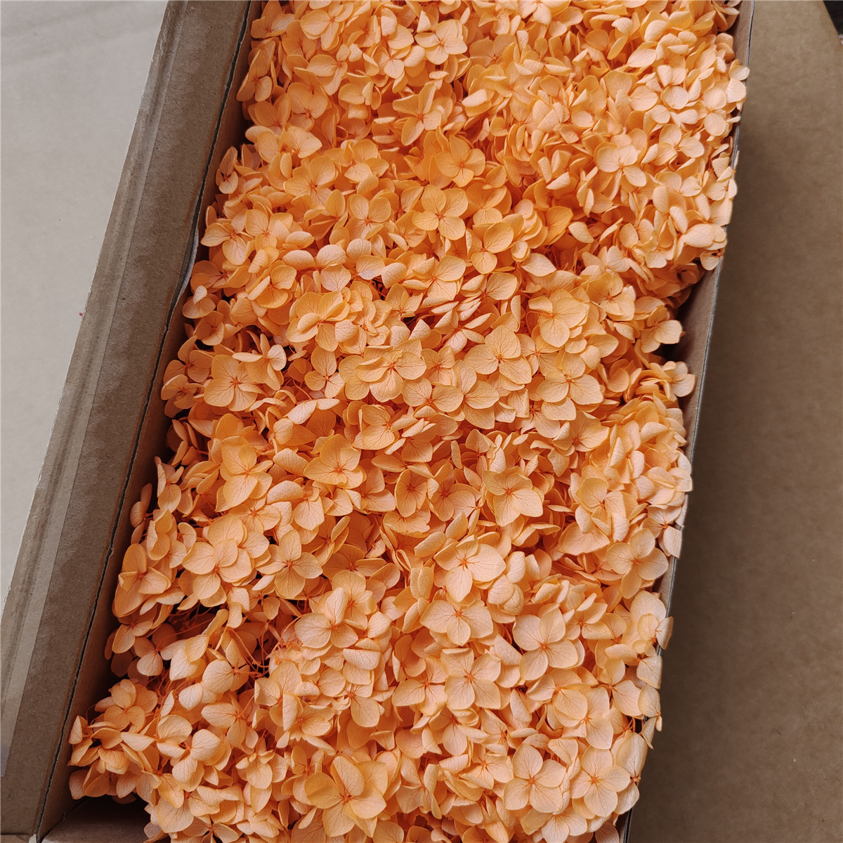 Flor eterna Hortensia Anna pequeña hoja flor seca flor real árbol de Navidad ventilador hecho a mano ramo DIY material paquete flor