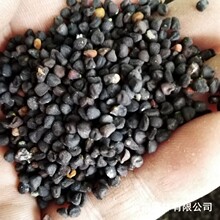 �a�����l�����̷N���׻�N��ͥԺ���@�������N