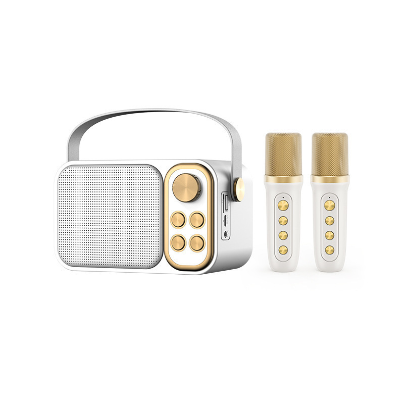Ys-105 Bluetooth Audio Family Ktv Outdoor Portable Karaoke Microphone Kidsren's Karaoke Speaker Stereo
