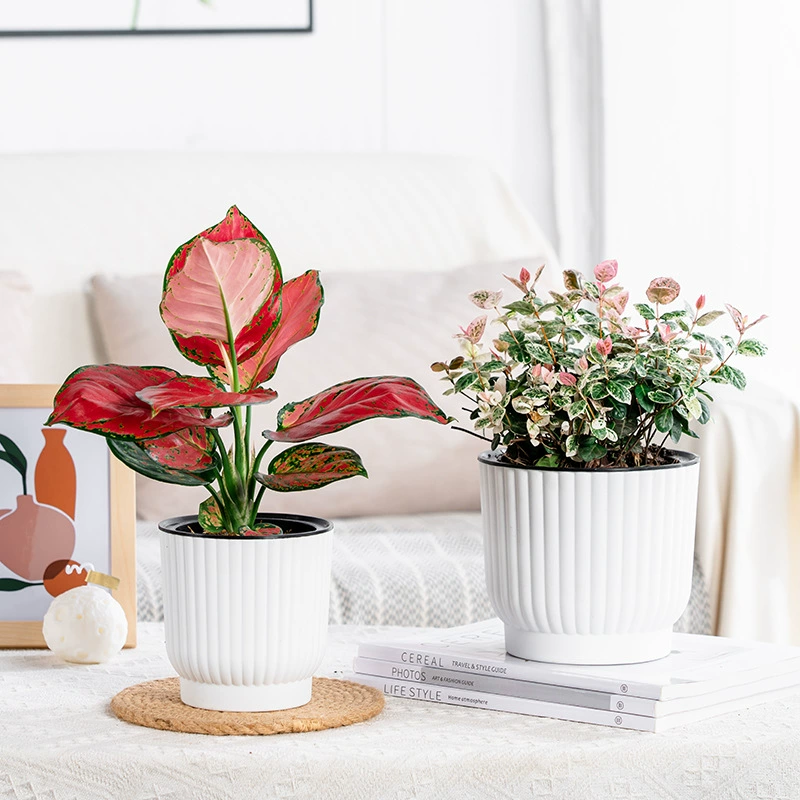 Meixuan ленивый цветочный горшок автоматический абсорбирующий зеленый горшок для растений гидропонный творческий пластиковый цветочный горшок из суккулентной смолы оптом