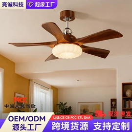 风扇灯