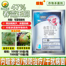 �s��47%����ù�����~�������t���~ù�����z���ך����� �rș