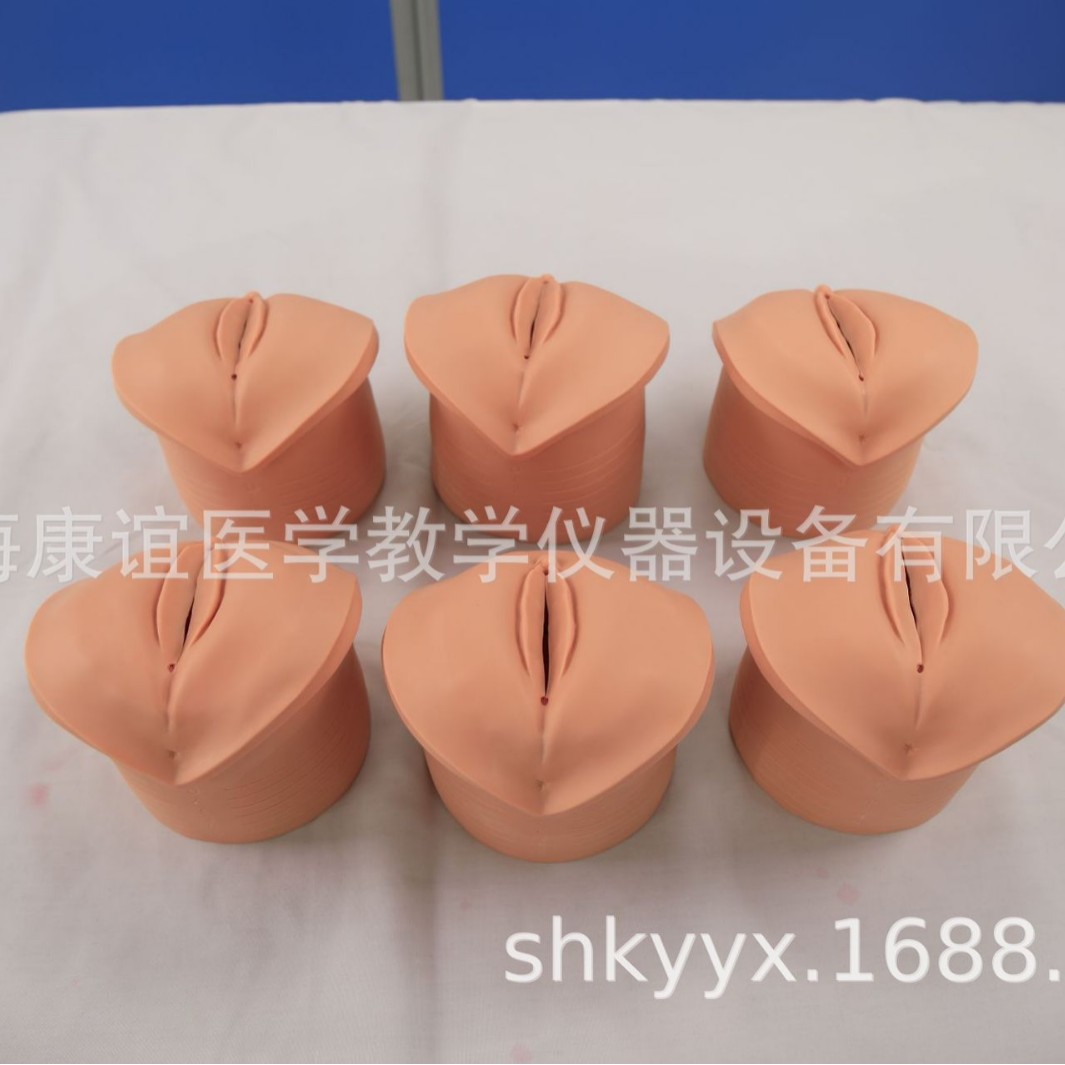 Kangyi Brand Kay-F9 Prenatal Cervical Changes and Birth Canal Relationship Model Prenatal Cervical Changes Display Model