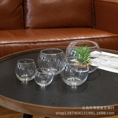 微景観の丸い形の透明な客間の生態のガラスの植木鉢の小さい金魚のカメのかめの卸売りの水培の花瓶の卸売り