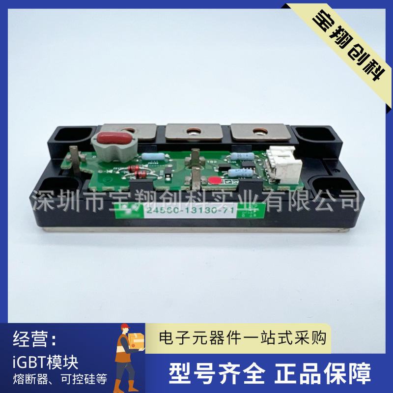 24560-13130-71 24560-23130-71 24560-33130-71 模块IGBT