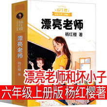 漂亮老师和坏小子 杨红樱课外阅读书籍作品集校园小说系列三部曲