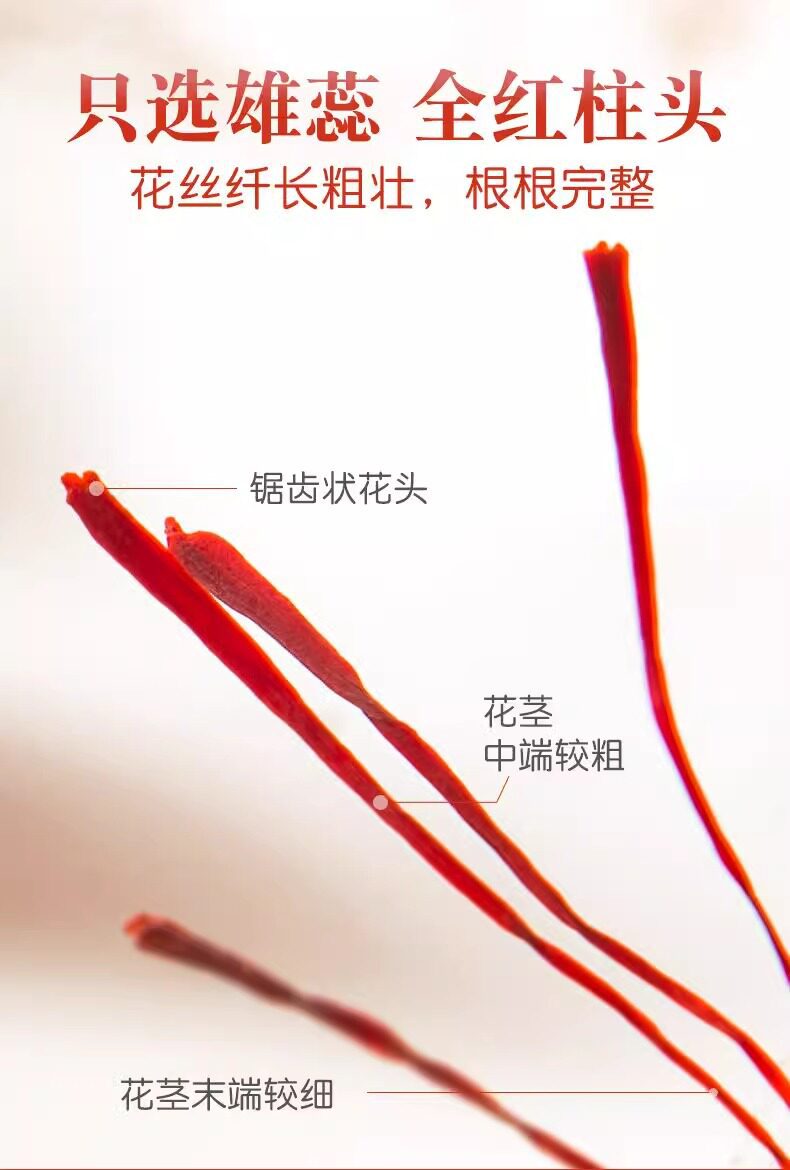 Premium Tibetan Saffron Crocus Sativus Stigmas Grade A Head Harvest 10g specifications