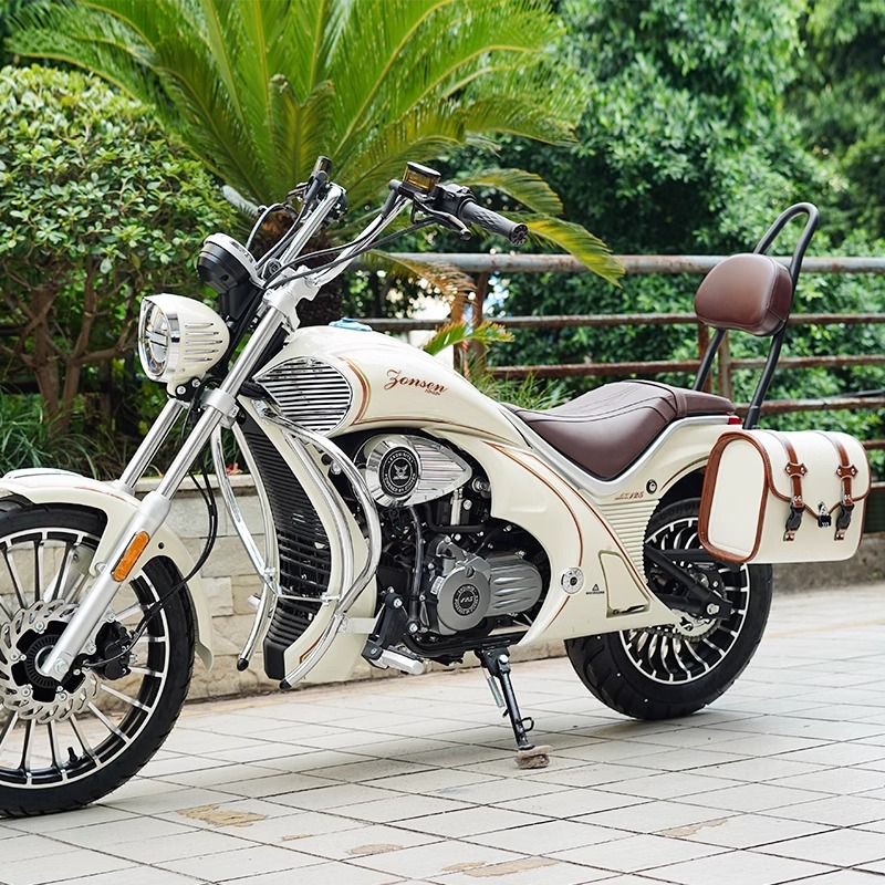 Aplicable para Zongshen Yomi Yomi parachoques retrógrado bolsas de cuero ZS125 - 5A accesorios plegables