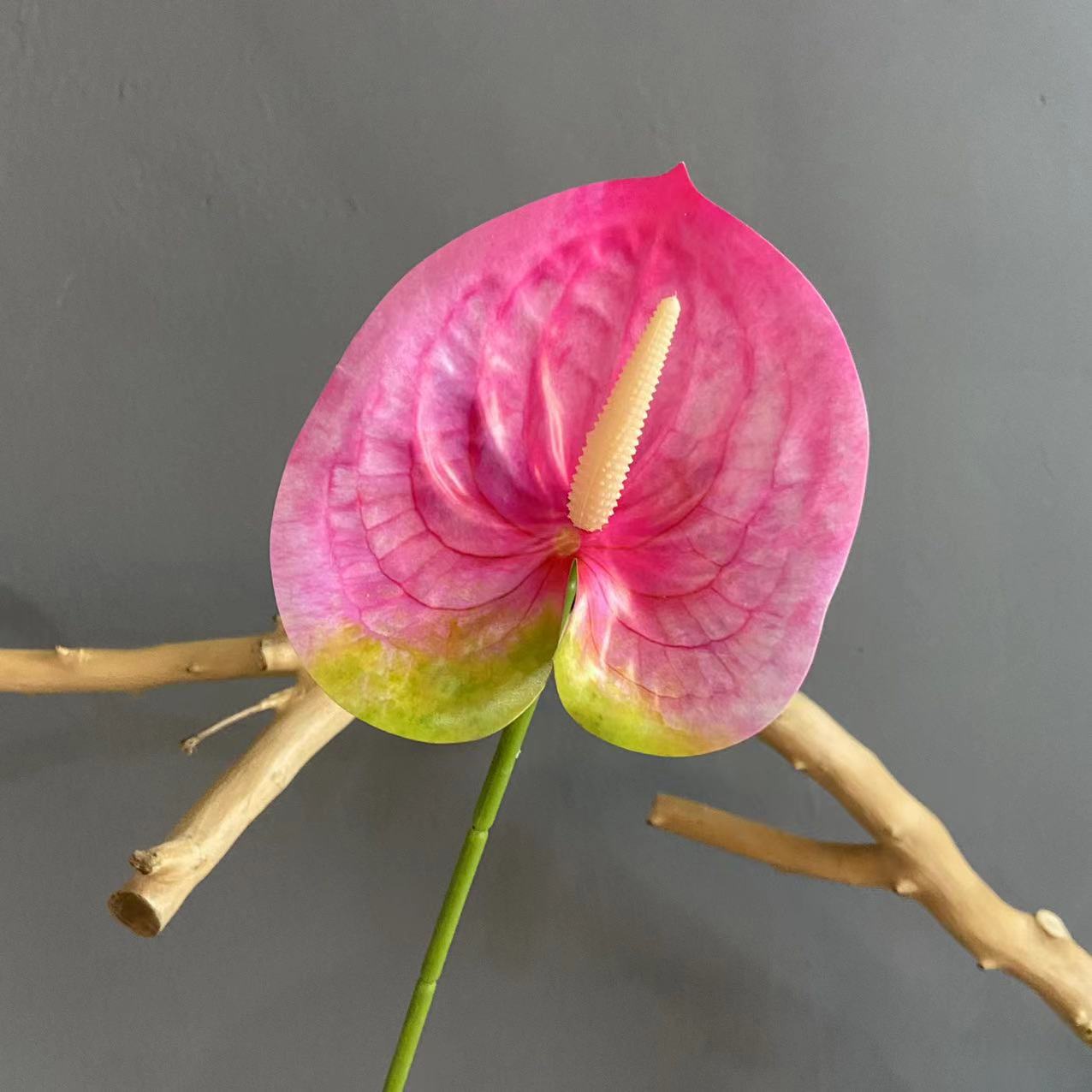 #8 (색상 당 10 개의 스틱 픽업, 덜 쏘지 마십시오)