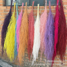 ?������횲ݵ��׼Ҿ��bڒ���ֲ�� ��c�b��J�S����ë�����