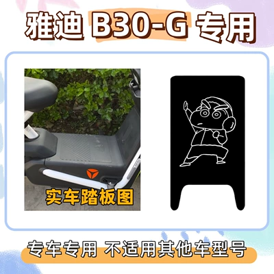 Electric vehicle foot mat Floor Mats, Wire Loop - xiaoxin-2free-velcro-yadi-b30-g