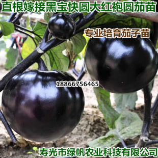 �޽������磬�A���� �ڌ��A�ѣ���t�ۣ���A���Ϲ�A���磬�Gȿ