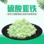 处理营养污水水质硫酸亚铁