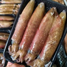 ���~���rҰ��������ֻ������rˮ�a�����˟���ʳ�����l�ك��