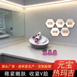 电子美容仪;其他美体瘦身;商用美容仪