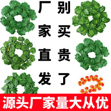 �羳�ٻ������G�~�ٗl�bGֲ�����ٵعϾG�~�����ٗlֲ�������~