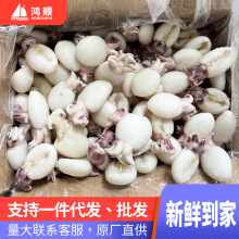 墨鱼仔新鲜冷冻商用鲜冻小鱿鱼 捞汁小海鲜小乌贼 干冰墨鱼仔批发