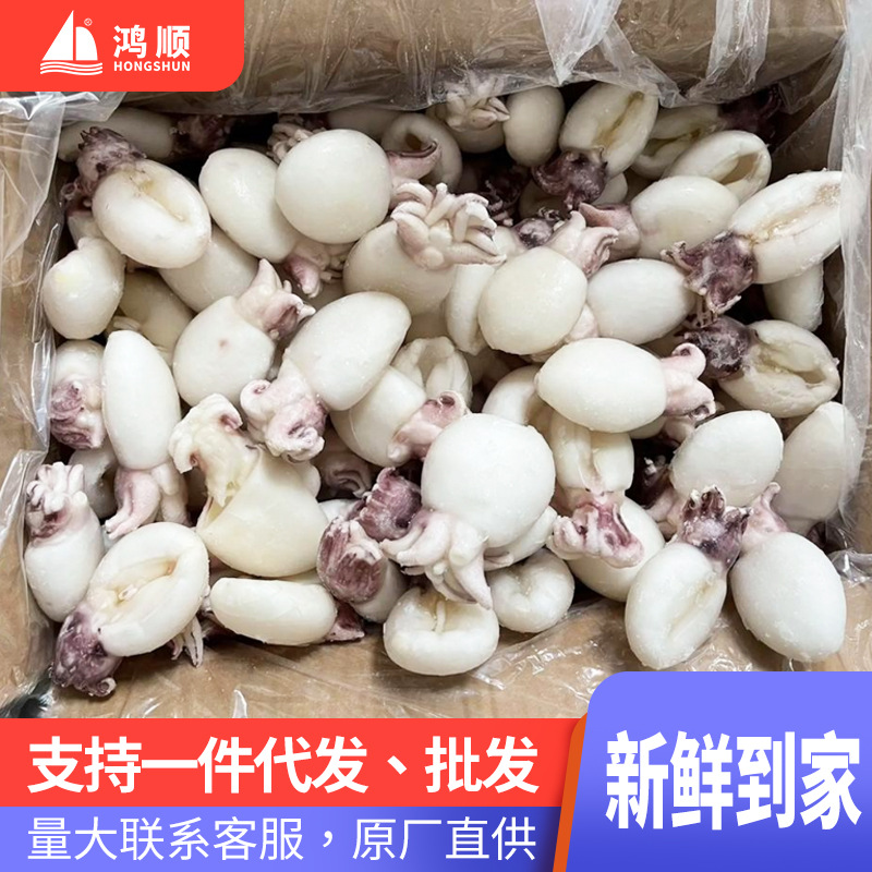 墨鱼仔新鲜冷冻商用鲜冻小鱿鱼 捞汁小海鲜小乌贼 干冰墨鱼仔批发