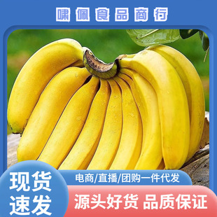 �V������˹�㽶���rˮ����������ˮ�����]�G�㽶һ�����lһ��
