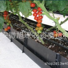 PPNֲ Ҵrл{ݮݮ߲ o