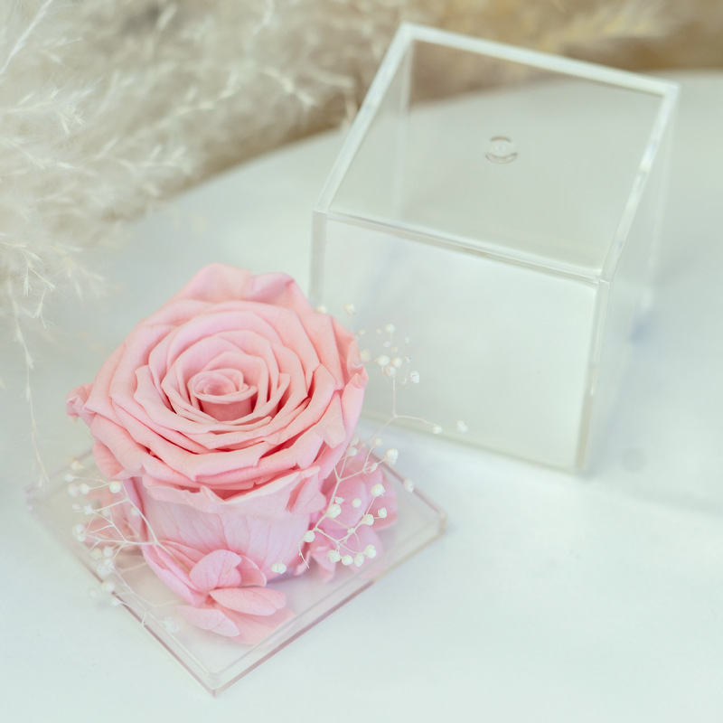 Caja de flores acrílica cuadrada con rosa eterna de Yunnan, regalo de alta gama para el Día de la Madre y el Día de San Valentín, adorno de flor eterna.