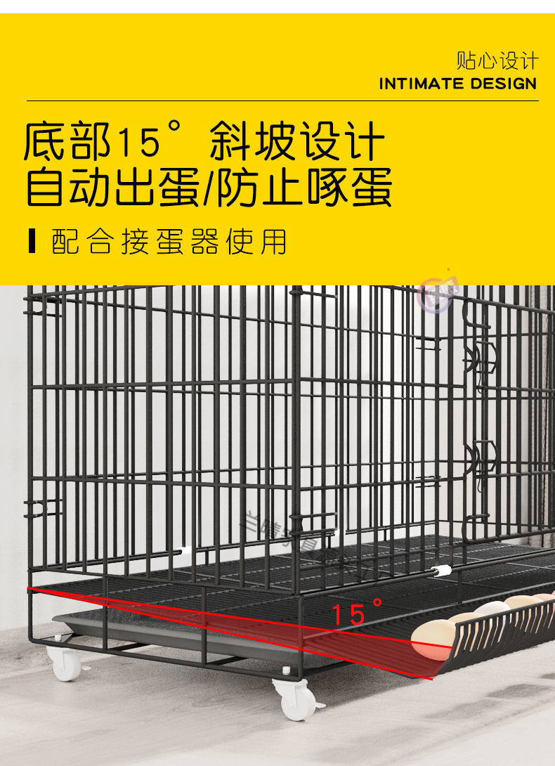 95b8284f-52aa-4a58-9283-13c0f02f2b91.jpe